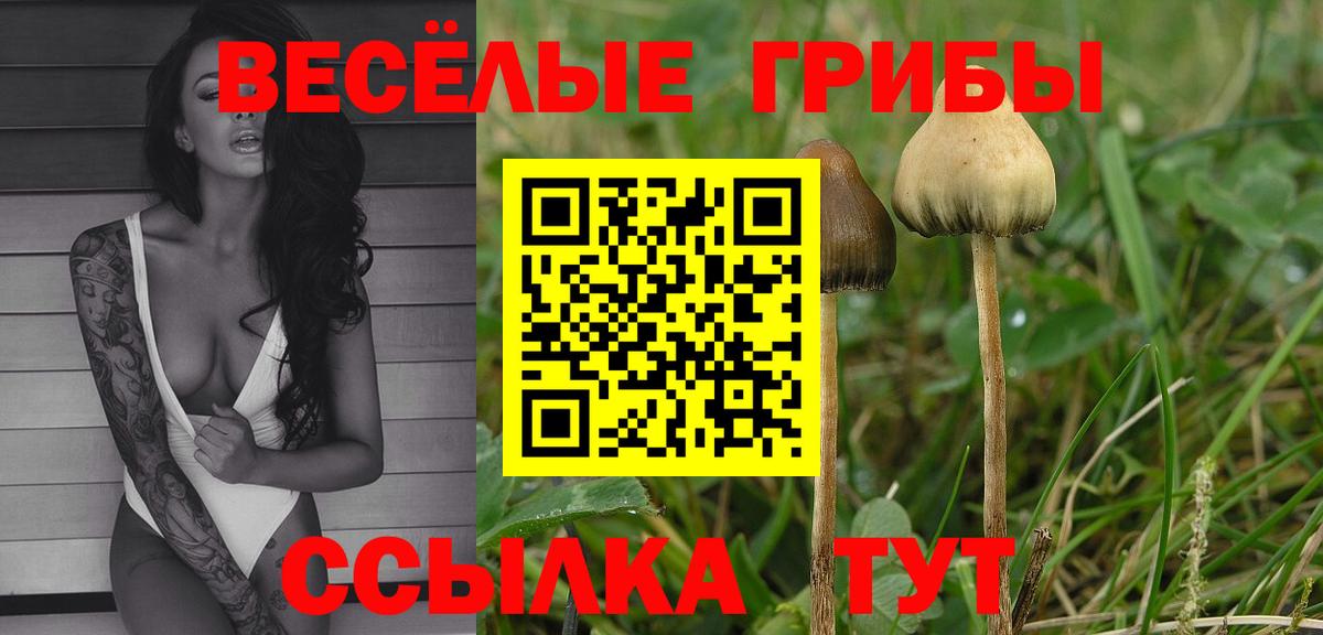 Псилоцибиновые грибы прущие грибы Лыткарино